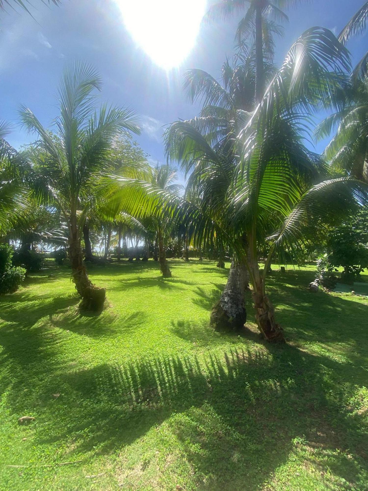 South End Villas - Apartamentos Paradisiaco En El Caribe Colombiano San Andrés المظهر الخارجي الصورة